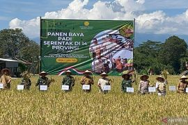 Rata-rata produksi padi Kabupaten Bogor capai 6,75 ton per hektare