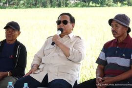 Farmers' role in preserving RI sovereignty vital: Prabowo