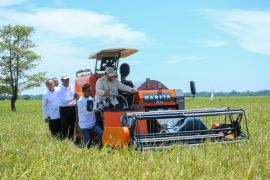 Mentan: Serapan gabah naik 2.000 persen, stok beras capai 2,4 juta ton