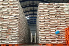  Stok beras 53.600 ton cukup sampai Agustus 2025