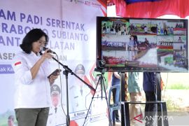 Kementan benahi irigasi di Kalsel wujudkan panen tiga kali per tahun