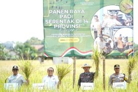 Pemkot Madiun minta petani optimalkan produksi padi di lahan terbatas