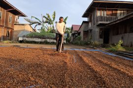 Perdagangan luar negeri Lampung surplus 234,31 juta dolar AS