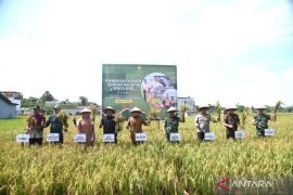 Pemerintah Kabupaten Kubu Raya optimalkan produksi pertanian