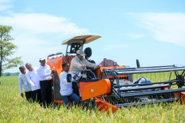 Fertilizer access revolution boosts rice productivity: Minister