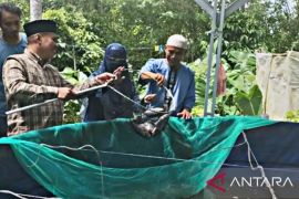BPPP Ambon  edukasi kelompok budidaya ikan dengan sistem bioflok