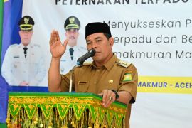 Kembangkan sektor peternakan, ini yang perlu dilakukan