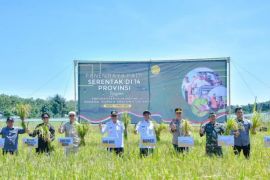 Kalsel kemarin dari panen raya padi hingga darurat sampah