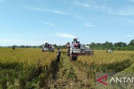 Pemkab Purwakarta targetkan peningkatan surplus gabah capai 100 ton per tahun