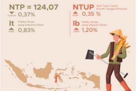 BPS : NTP berbagai sektor di Sulsel alami kenaikan pada Maret 2025