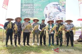 Pemkab Bangkalan dorong petani olah hasil pertanian mandiri