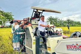 Aceh Timur targetkan produksi gabah 187.630 ton pada 2025