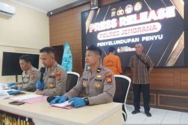 Buron penyelundupan penyu ditangkap saat pulang ke Jembrana
