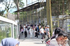 Kunjungan wisata lebaran Bukittinggi meningkat, PAD capai 2,9 miliar