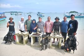 DPD RI - Garude Diving Club tanam terumbu karang di perairan Keciput Belitung