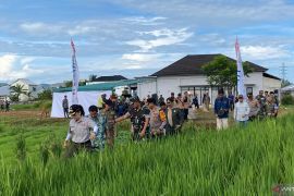 Pemkot Singkawang siap membantu petani tingkatkan hasil panen padi