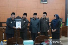 Wabup Bangka Tengah sampaikan RPJMD 2025-2029