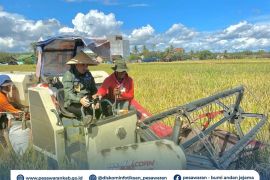 Pemkab Pesawaran dukung produktivitas petani dengan pengairan dan distribusi serapan gabah