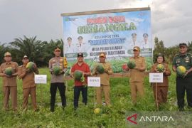 Distan Kapuas diminta perhatikan sentra penghasil semangka