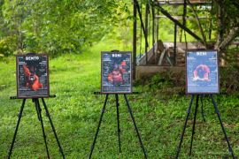 OIKN-Kemenhut-YAD  komitmen lestarikan orang utan