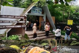 Wisata pendakian Gunung Tambora di Sumbawa kembali dibuka