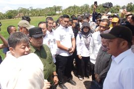 Komisi IV DPR dukung optimasi lahan pertanian sesuai Asta Cita