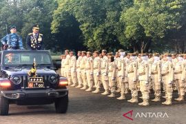 Pakar harap TNI AU di usia ke-79 dapat tinjau ulang doktrin