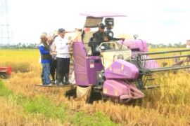 Kalsel kemarin dari pertumbuhan ekonomi hingga brigade pangan