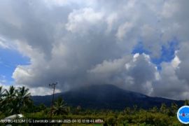 Badan Geologi catat Gunung Lewotobi Laki-laki erupsi satu kali pada Kamis