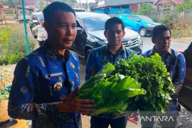 Bupati Rejang Lebong ajak kepala dinas borong sayuran petani