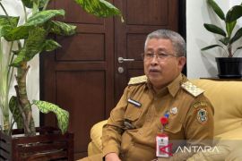 Pemprov Kalsel pacu transformasi ekonomi hilirisasi dan agroindustri