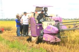 Agriculture Ministry assists Tanah Laut's 83 food brigades with alsintan