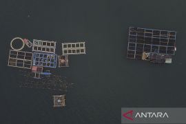 Nelayan keramba jaring apung di Pangandaran