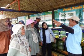 Kilang Cilacap tingkatkan kapasitas Gapoktan Kalijaran melalui studi banding