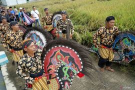 Ritual labuh masal jelang panen raya padi di Tulungagung