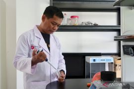 BRIN gali potensi kerang coklat untuk budi daya lobster