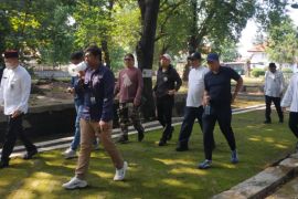 Jakarta butuh Puskeswan bukan pulau kucing