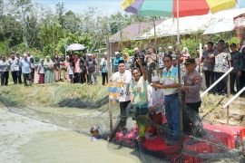 Koperasi Ponpes Miftahul Ulum kembangkan budidaya ikan patin