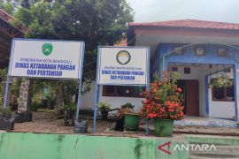 Pemkot Bengkulu: Penurunan harga TBS sawit hanya sementara