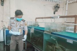 Balai Karantina gelar layanan prima ratusan produk unggul Kalbar