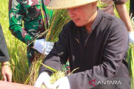 Pemkab Kuningan terbitkan edaran pembelian gabah petani Rp6.500 per kg, tanpa syarat