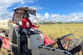 Bulog Lampung ajukan penambahan pembangunan 5 fasilitas pengeringan padi