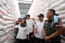 Titiek Soeharto tekankan penyerapan gabah petani dilakukan maksimal