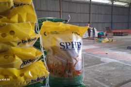 Bulog: Persediaan beras di Aceh Cukup hingga Februari