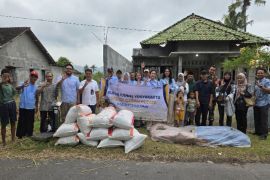 Rabu Biru Indonesia dan Bulog serap gabah petani Sleman, DIY
