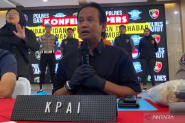 KPAI bentuk tim pemulihan psikis dan fisik korban perkosaan di Garut