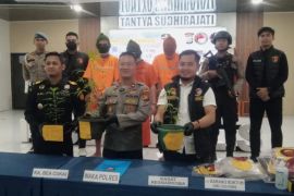 Polres Bengkalis ungkap kasus seorang warga Rupat tanam delapan pot ganja di rumah