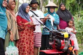 TP PKK Maluku Utara panen perdana tomat di  Ternate
