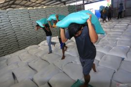 BPS: Harga beras premium turun jadi Rp13.047 April 2025