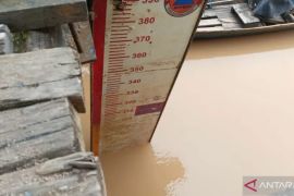 BPBD: debit air sungai Batang Hari naik lagi